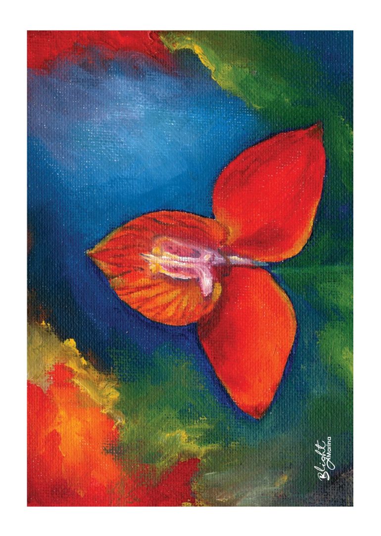 Artful Unique Greeting Cards 2